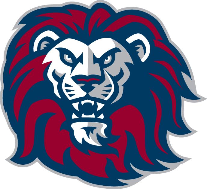 Loyola Marymount Lions 2001-Pres Alternate Logo t shirts iron on transfers v6
